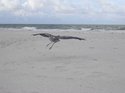 DSCN1658.jpg